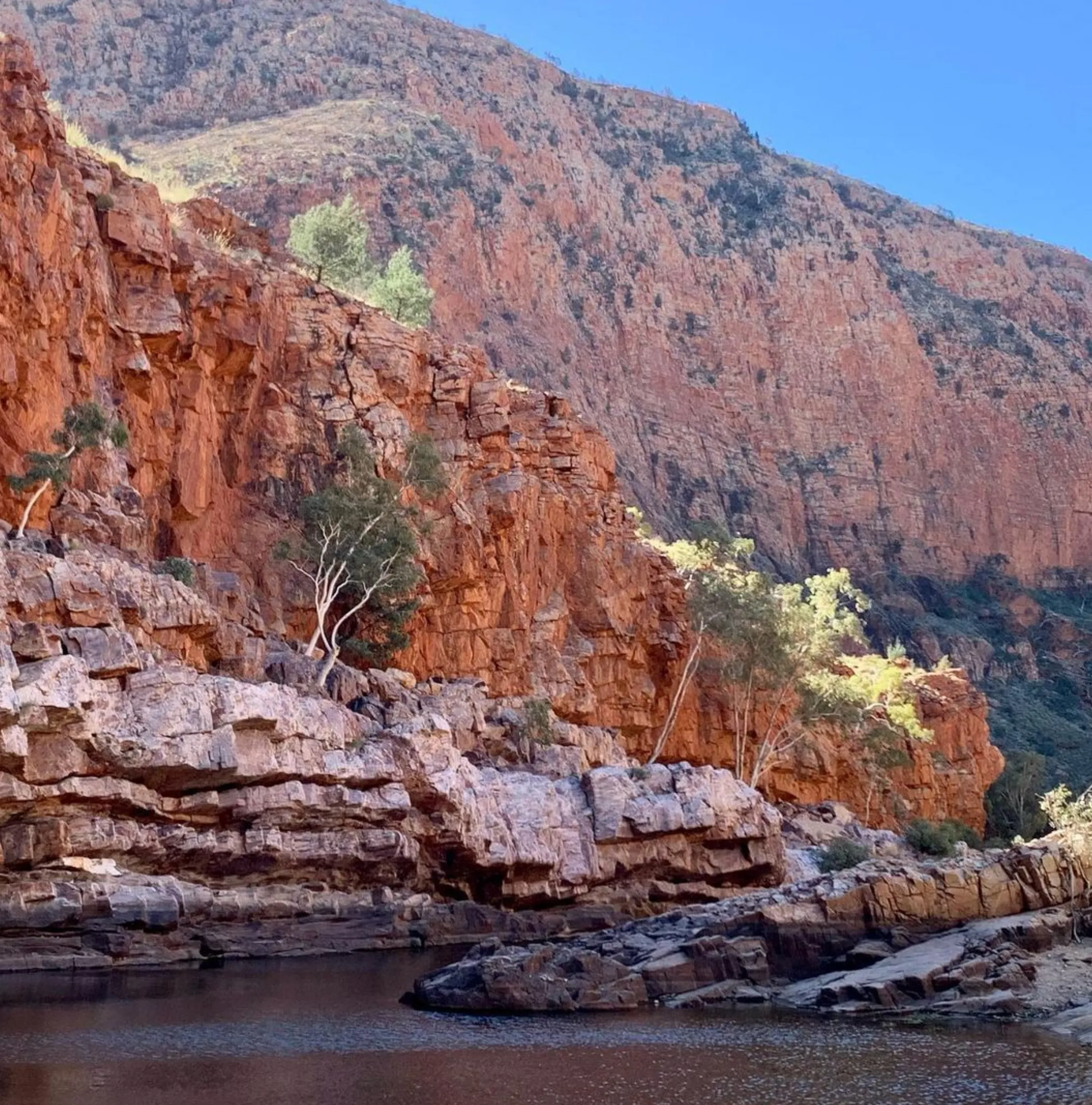 mountain bike trails, Larapinta