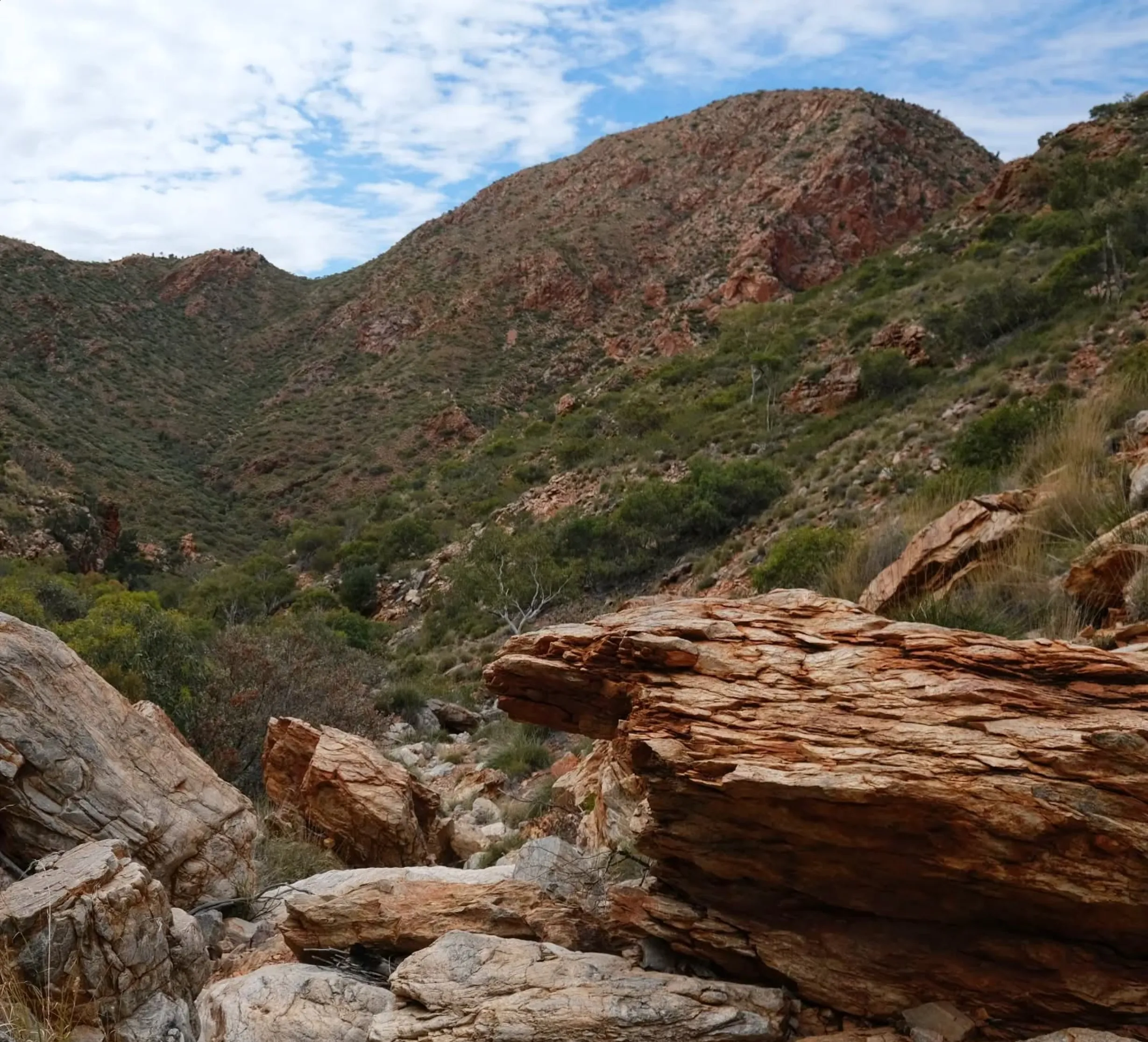 Simpsons Gap, Larapinta