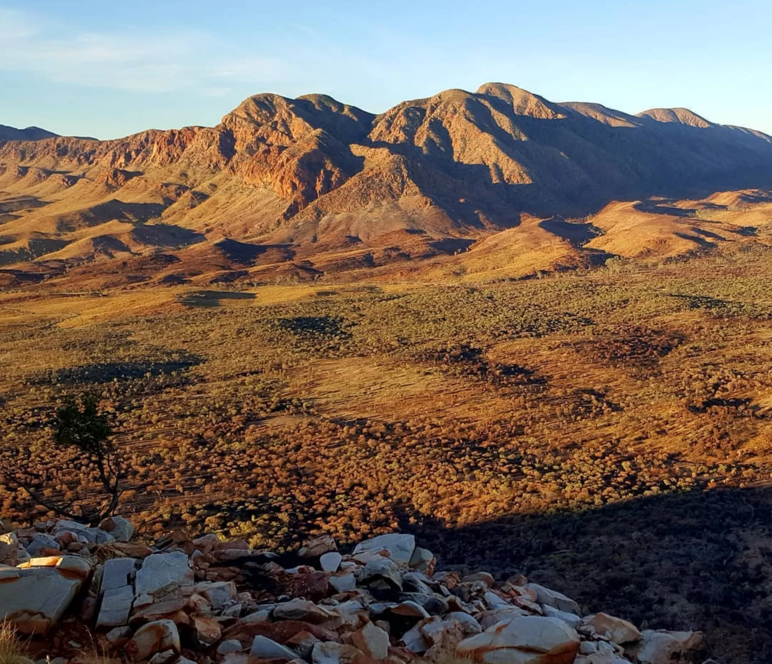 single track, Larapinta